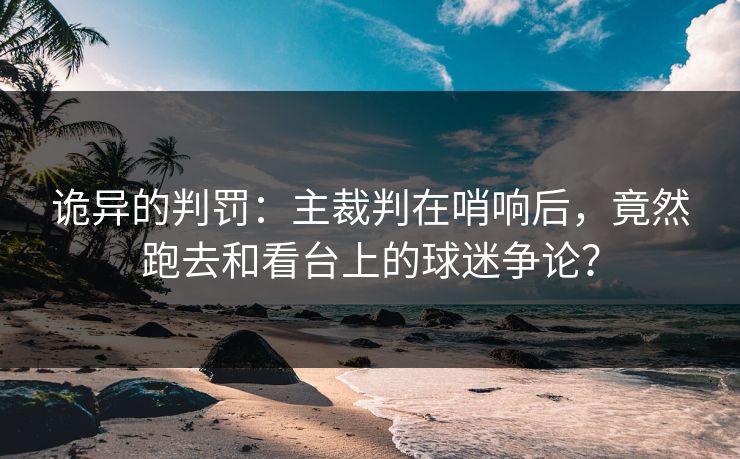 诡异的判罚:主裁判在哨响后,竟然跑去和看台上的球迷争论? 诡异的判罚:主裁判在哨响后,竟然跑去和看台上的球迷争论?