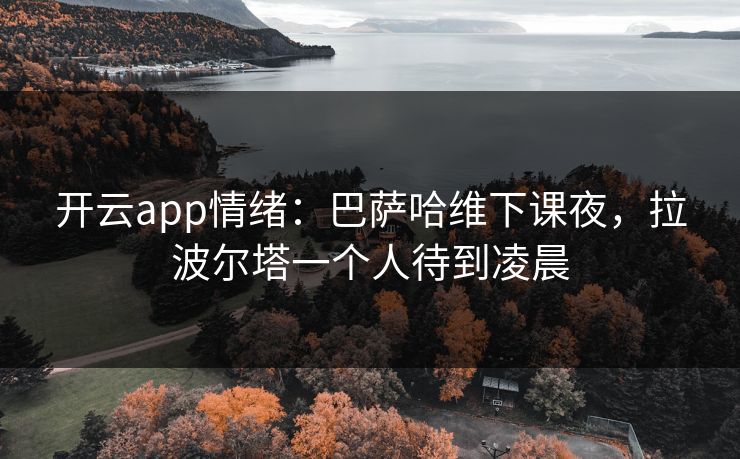 开云app情绪：巴萨哈维下课夜，拉波尔塔一个人待到凌晨