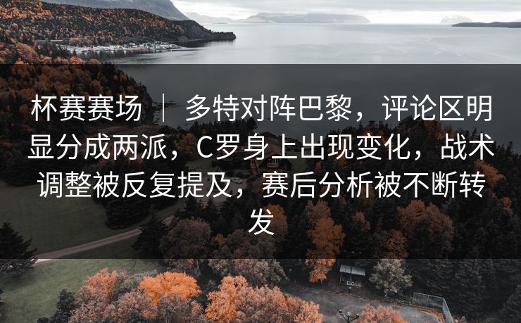 杯赛赛场 ｜ 多特对阵巴黎，评论区明显分成两派，C罗身上出现变化，战术调整被反复提及，赛后分析被不断转发